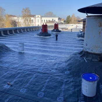 Ремонт кровли учебного корпуса № 19